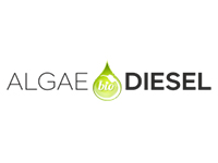 algae biodiesel 9