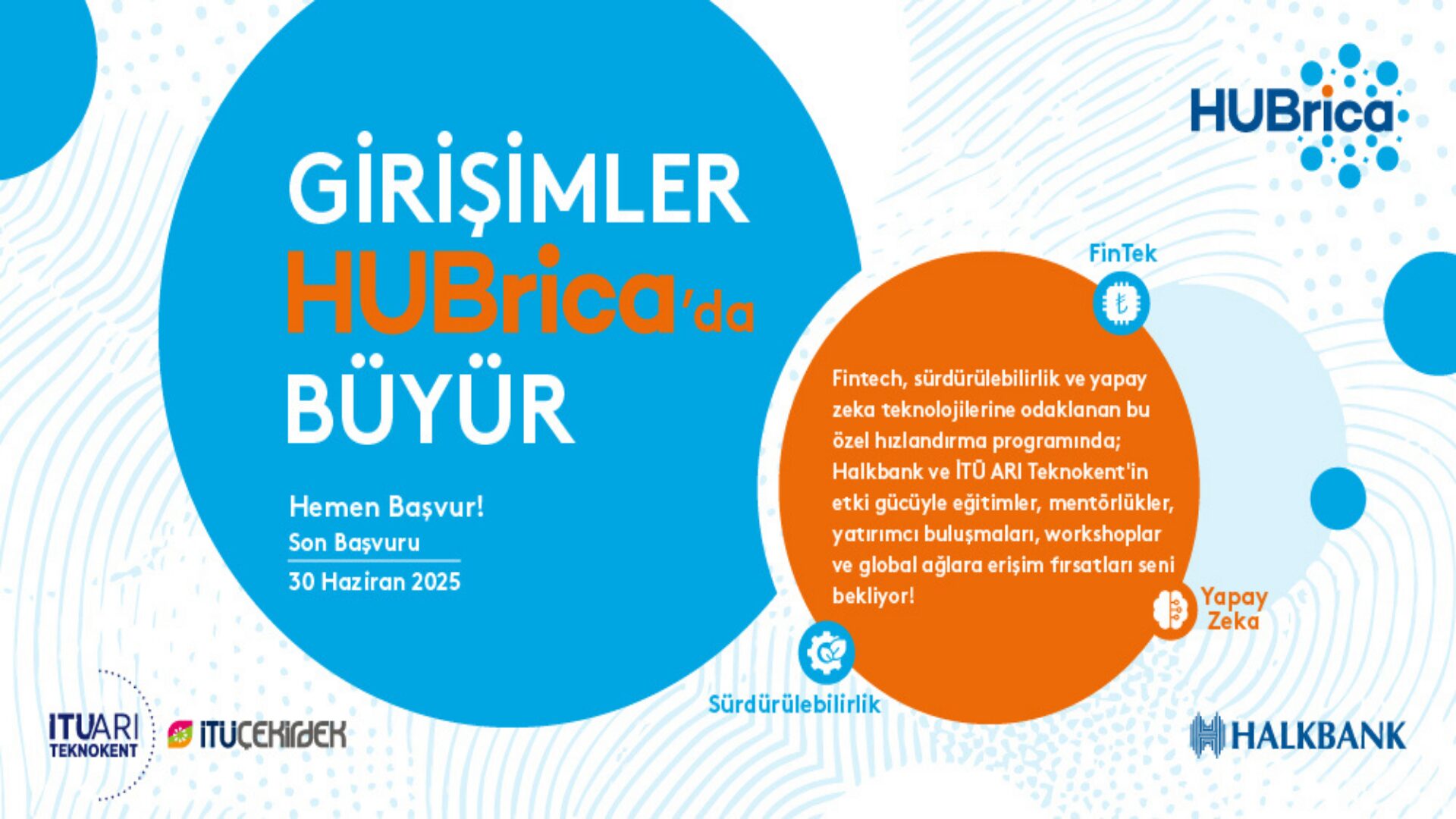 Homepage 24